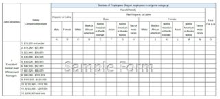 Online Filing System Sample Form